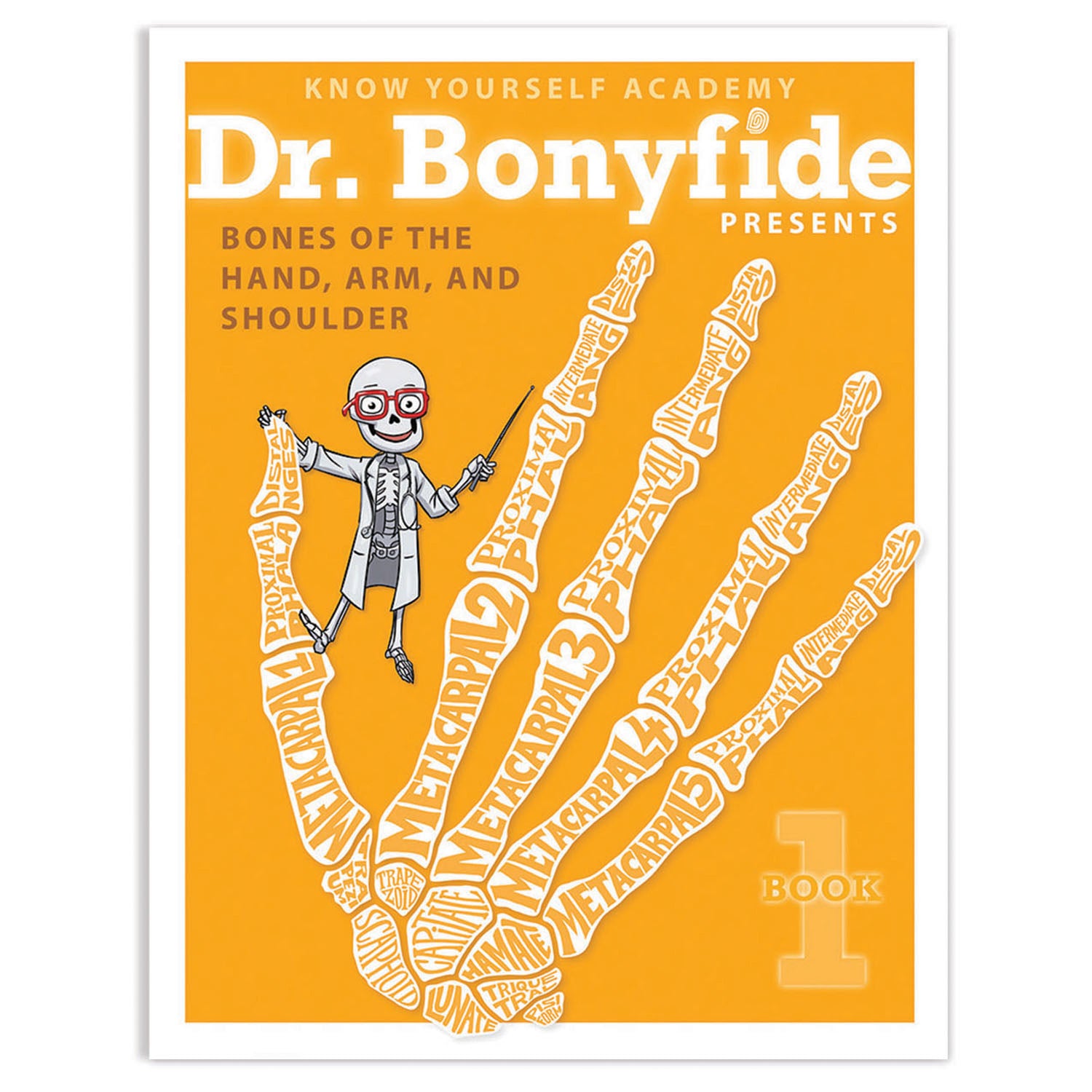Know Yourself 4 Book Set: Dr. Bonyfide's Guide to the Human Skeleton - Image 3