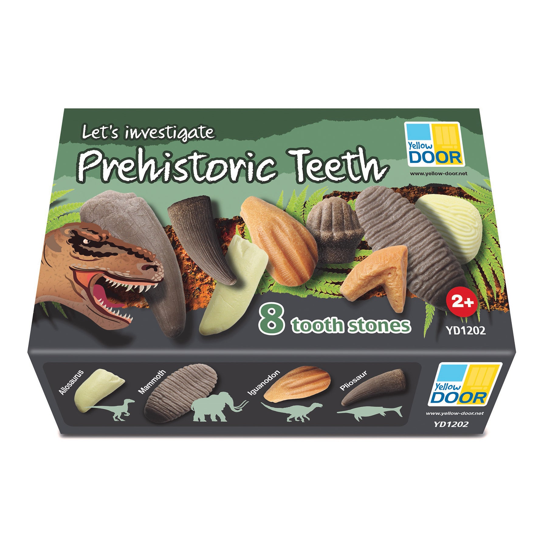 Alternative view of Yellow Door Let's Investigate - Prehistoric Teeth Discovery Set Of 8