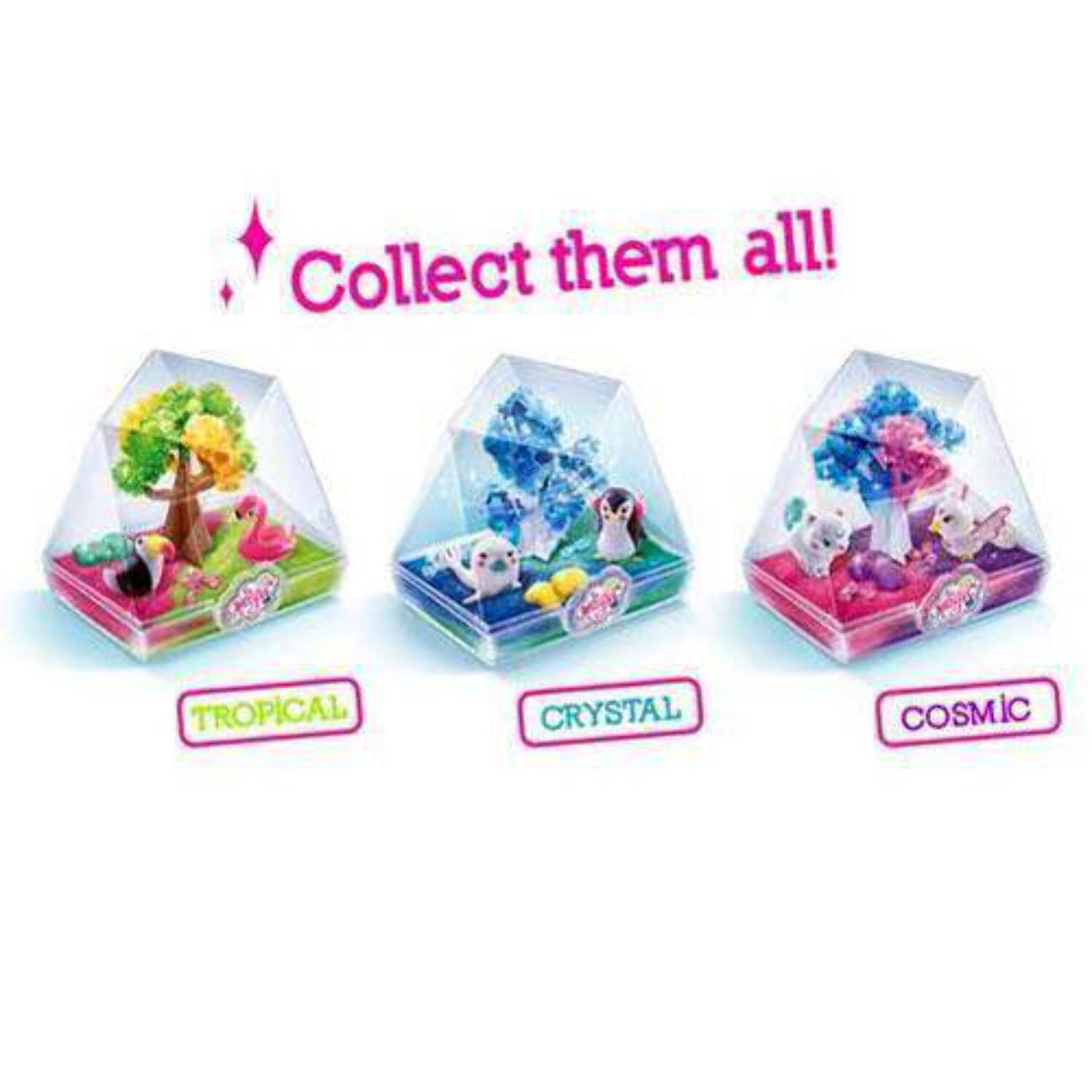 So Magic DIY Tropical Magic Terrarium Kit with Geo-Shape Container