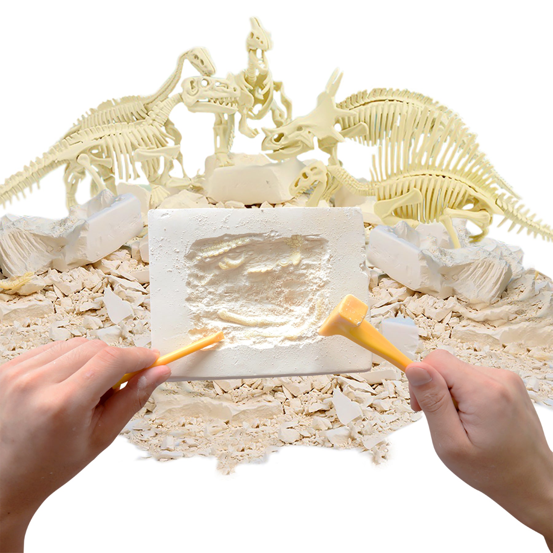 Alternative view of HamiltonBuhl Paleo Hunter Dig Kit - Complete Dinosaur Excavation Set for STEAM Learning