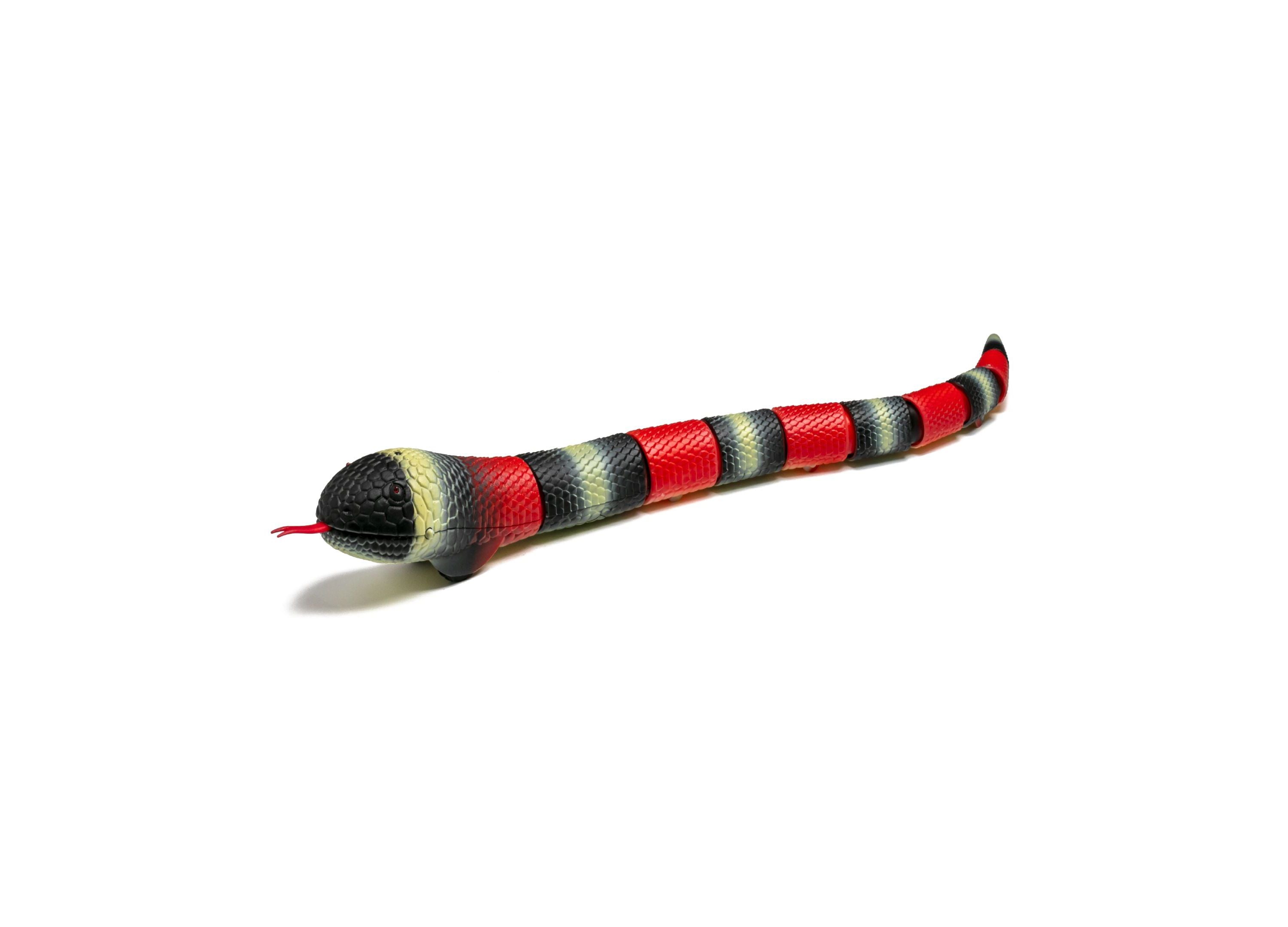 Discovery Kids Radio Control Toy King Snake - Black - Image 3