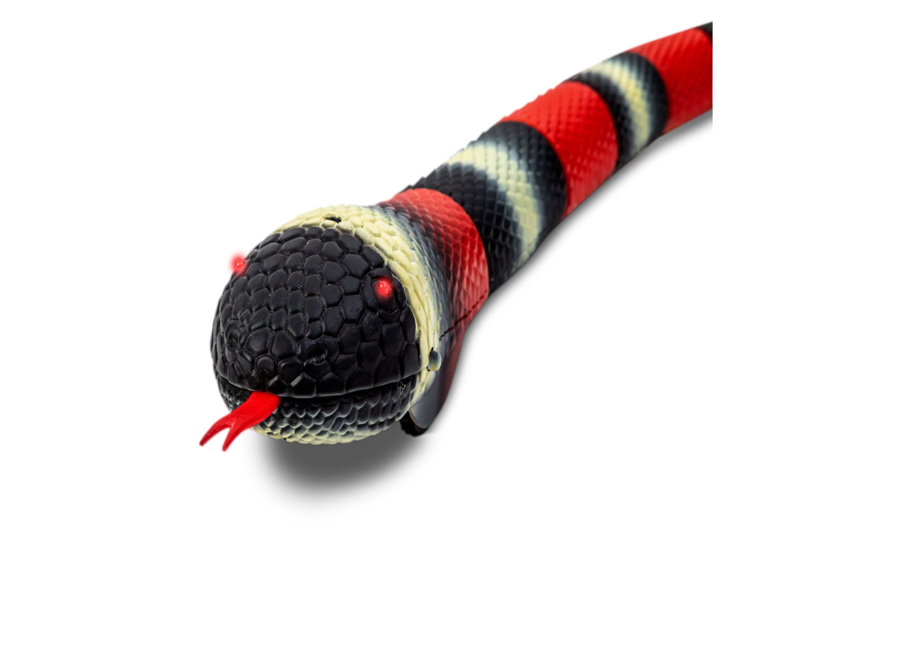 Discovery Kids Radio Control Toy King Snake - Black - Image 8