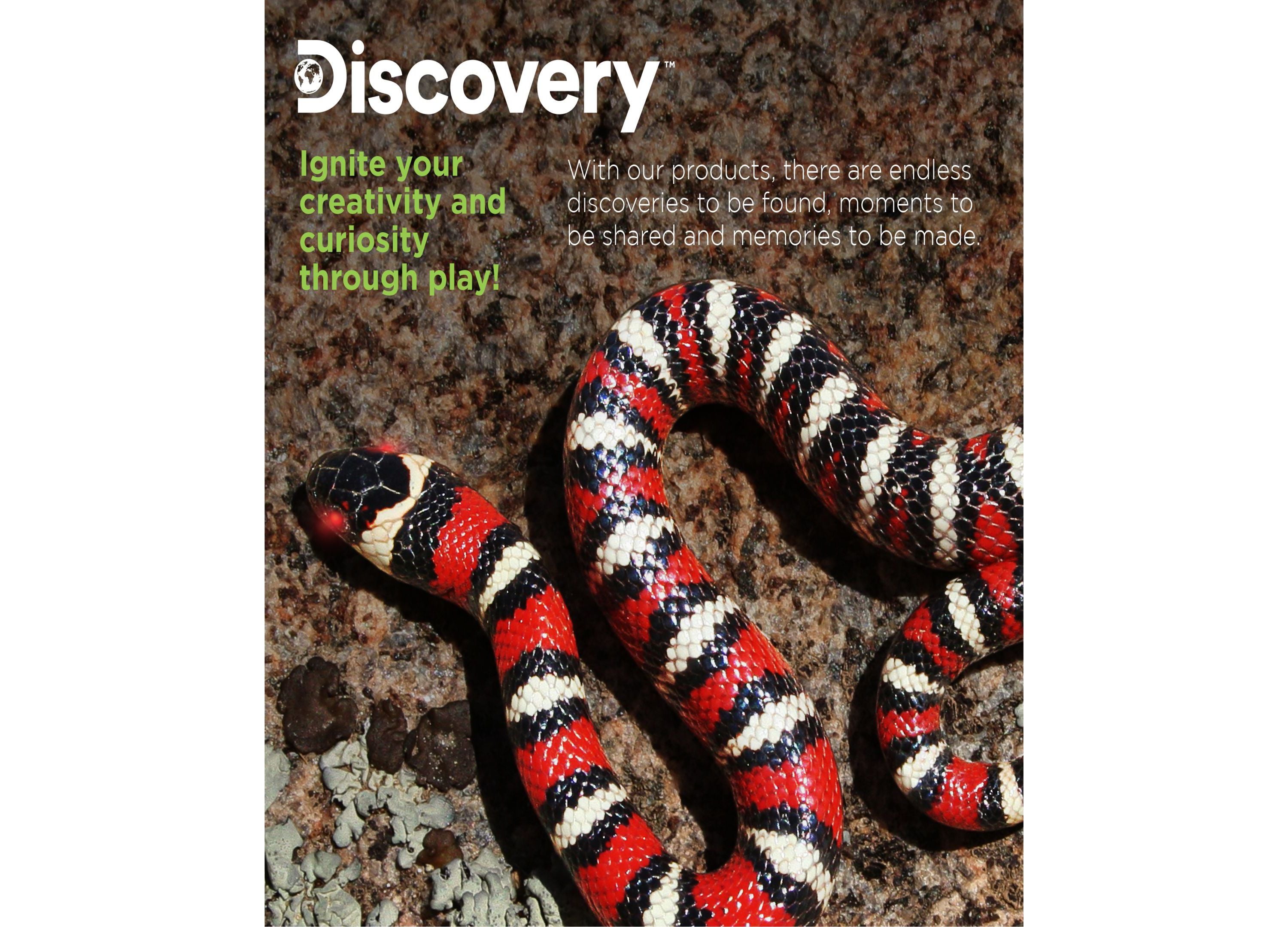 Discovery Kids Radio Control Toy King Snake - Black - Image 7