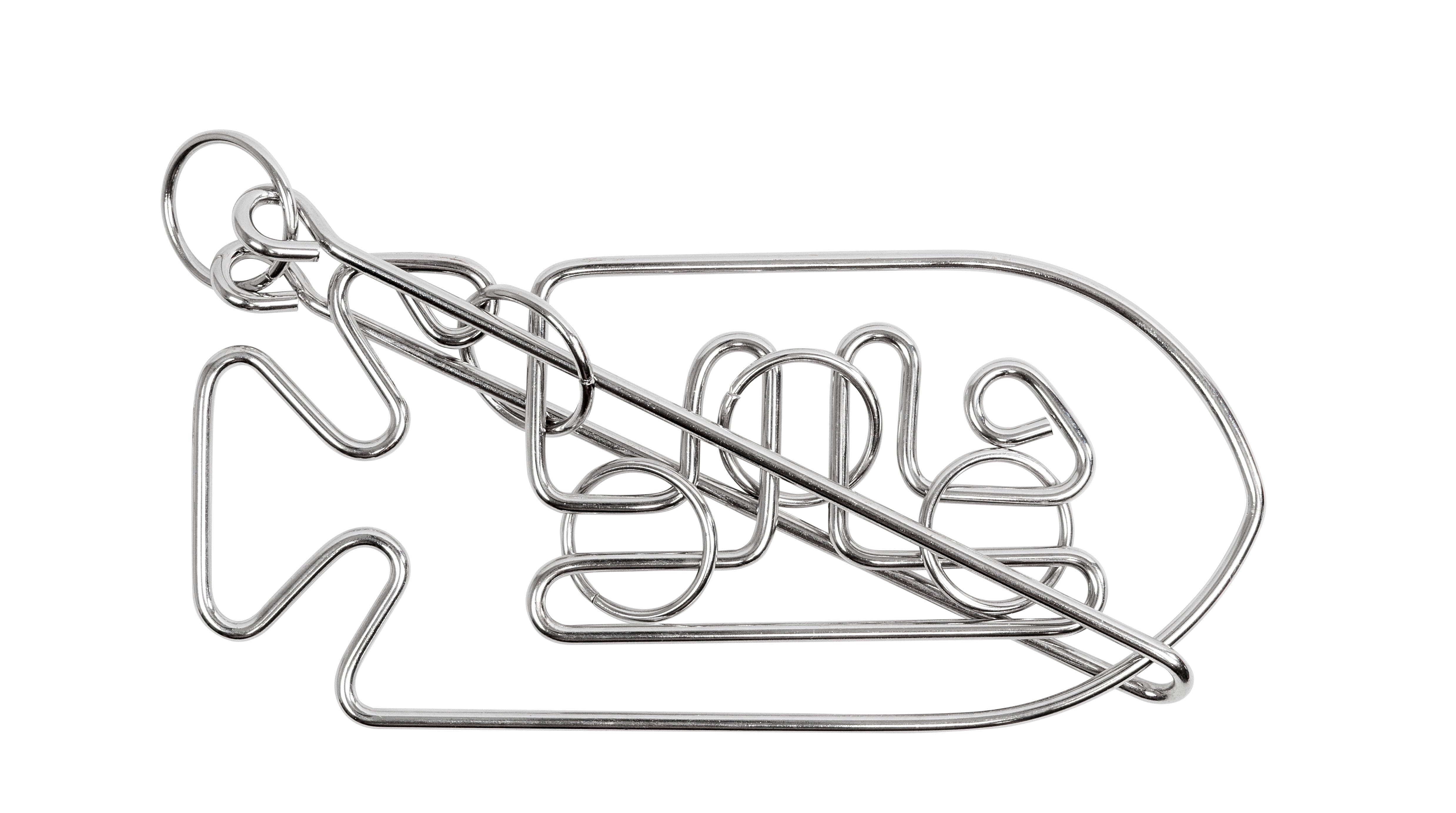 Professor Puzzle Einstein Collection Fish Metal Puzzle
