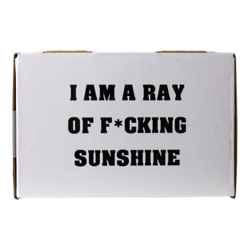 Yellow Ray Of Sunshine 16 Oz Cheerful Mug - Image 7