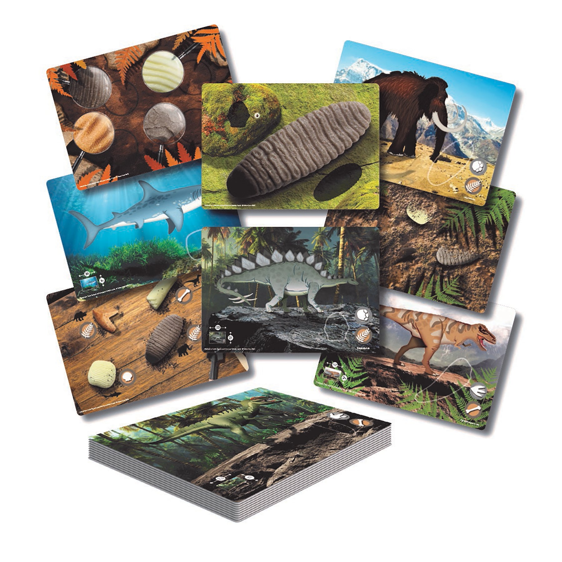 Yellow Door Prehistoric Teeth Activity Cards - Discover Dinosaur Secrets - Set Of 16
