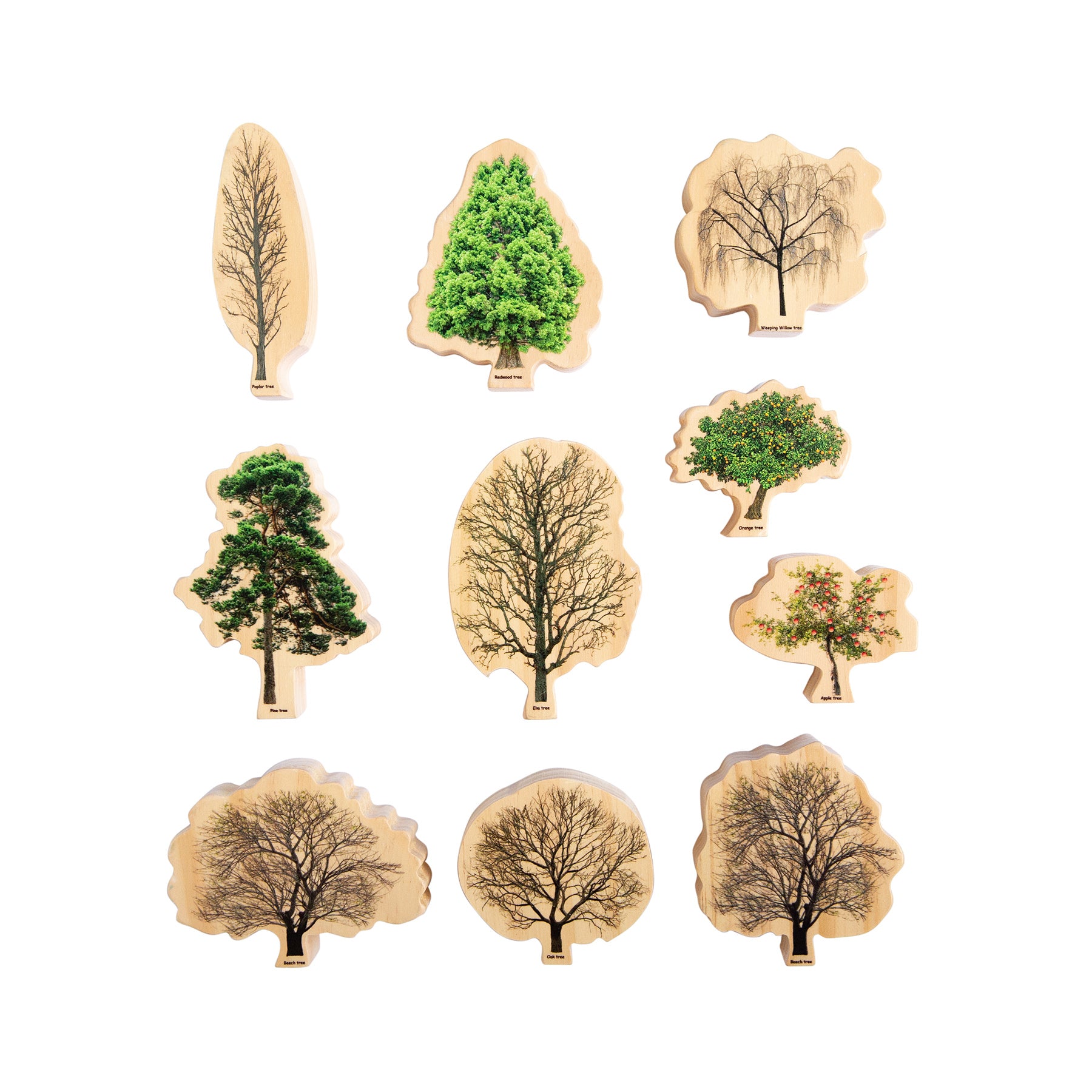Alternative view of The Freckled Frog Seasons Wooden Trees - Educational Block Set