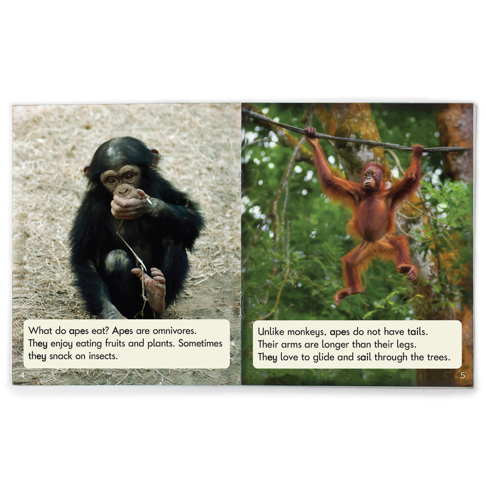 Junior Learning 12-Piece Decodable Readers Set - Long Vowels Non-Fiction - Image 3