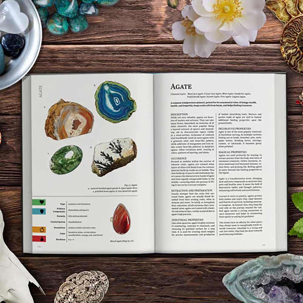 Renegade Game Studios Geologist's Primer - RPG Treasure Trove - Image 4