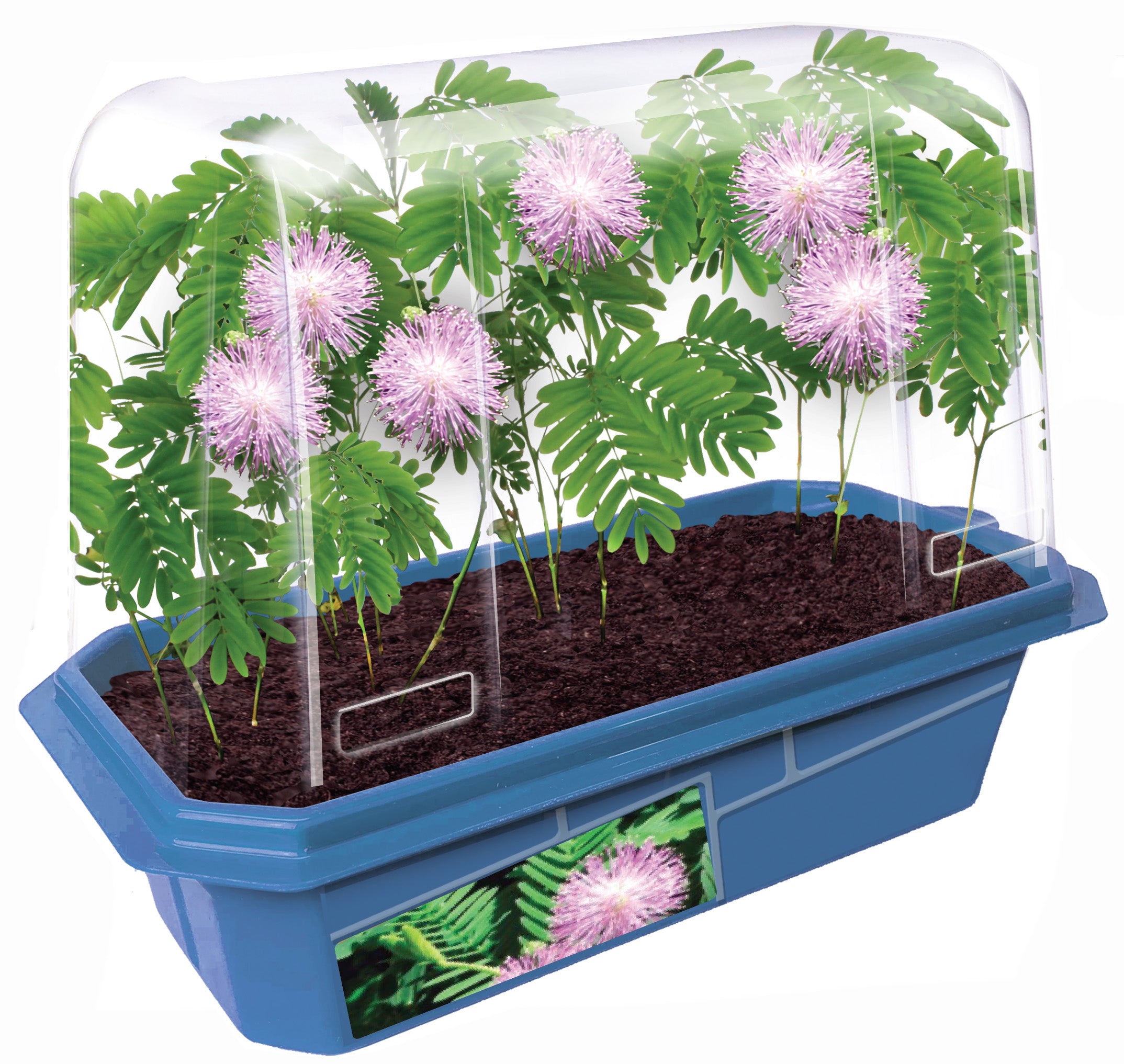 Alternative view of Toys R Us Astounding Moving Plant Interactive Botany Kit