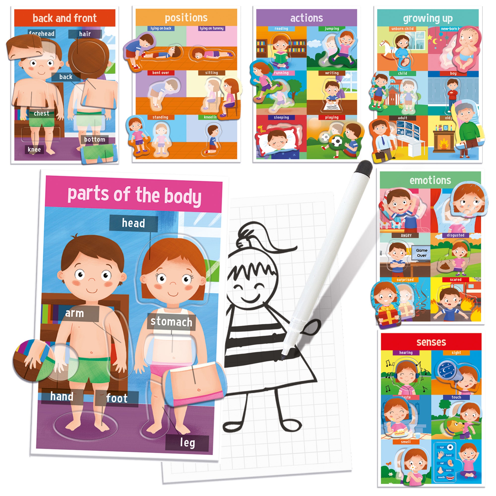 Headu My First Human Body Game - Discover Anatomy Fun - Image 2