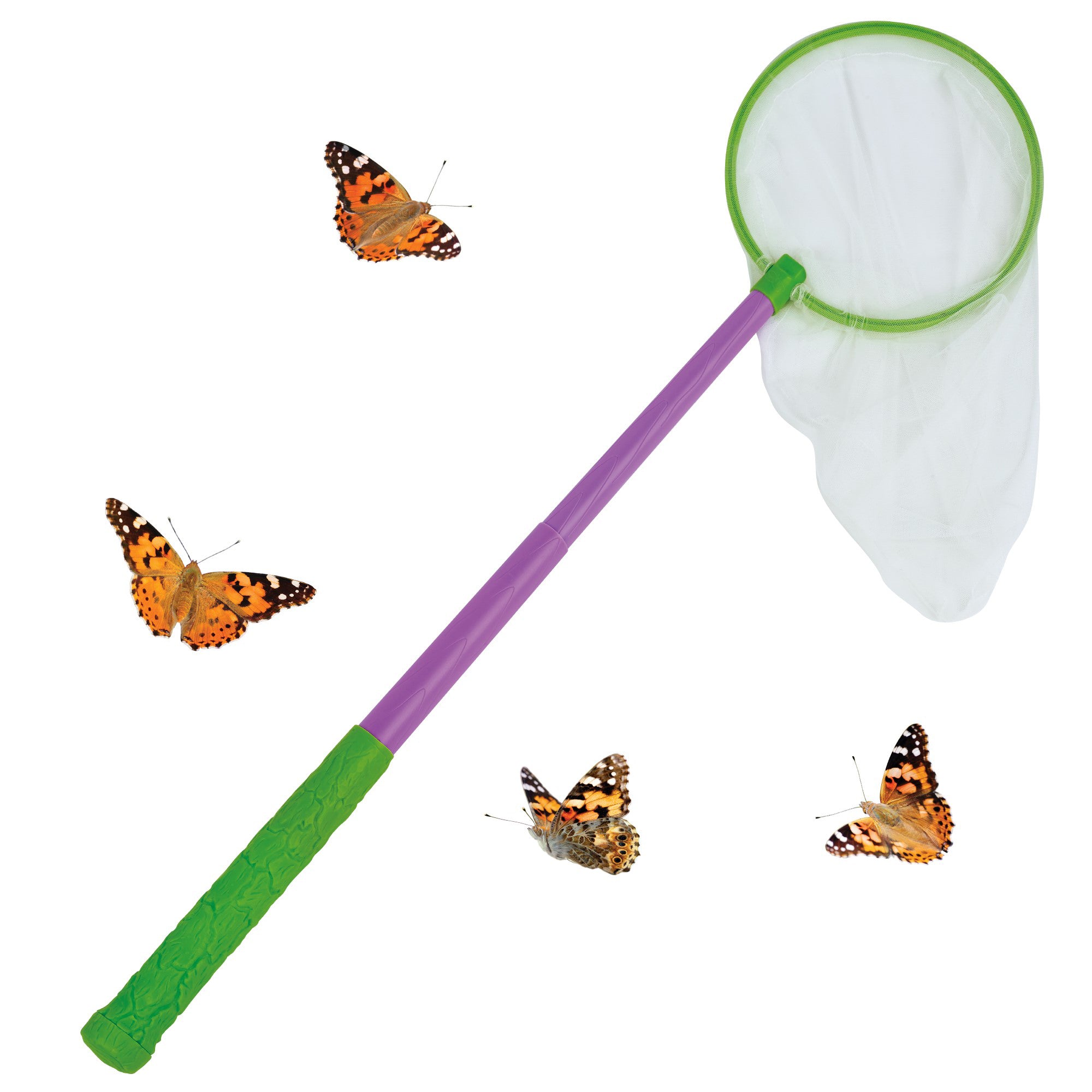 Insect Lore Extend.A.NET Ultra Colorful Butterfly Catcher - Image 3