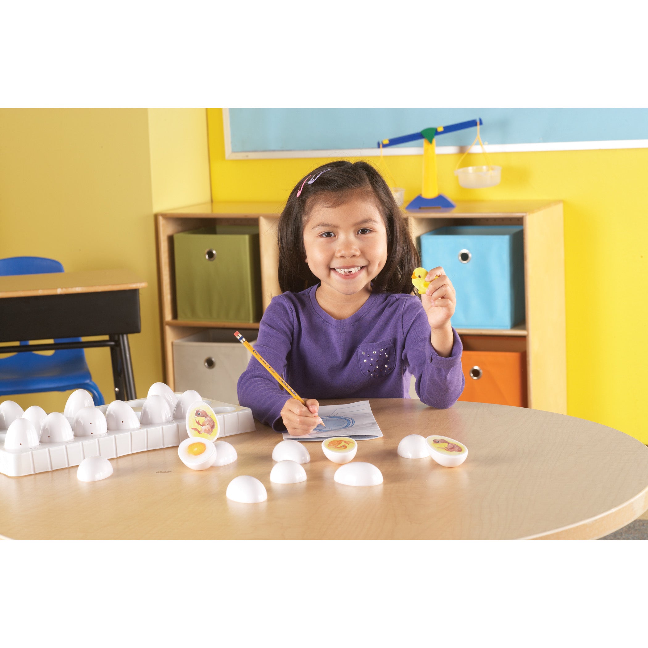 Learning Resources Chick Life Cycle Exploration Set - Educational Science Toy - Image 5