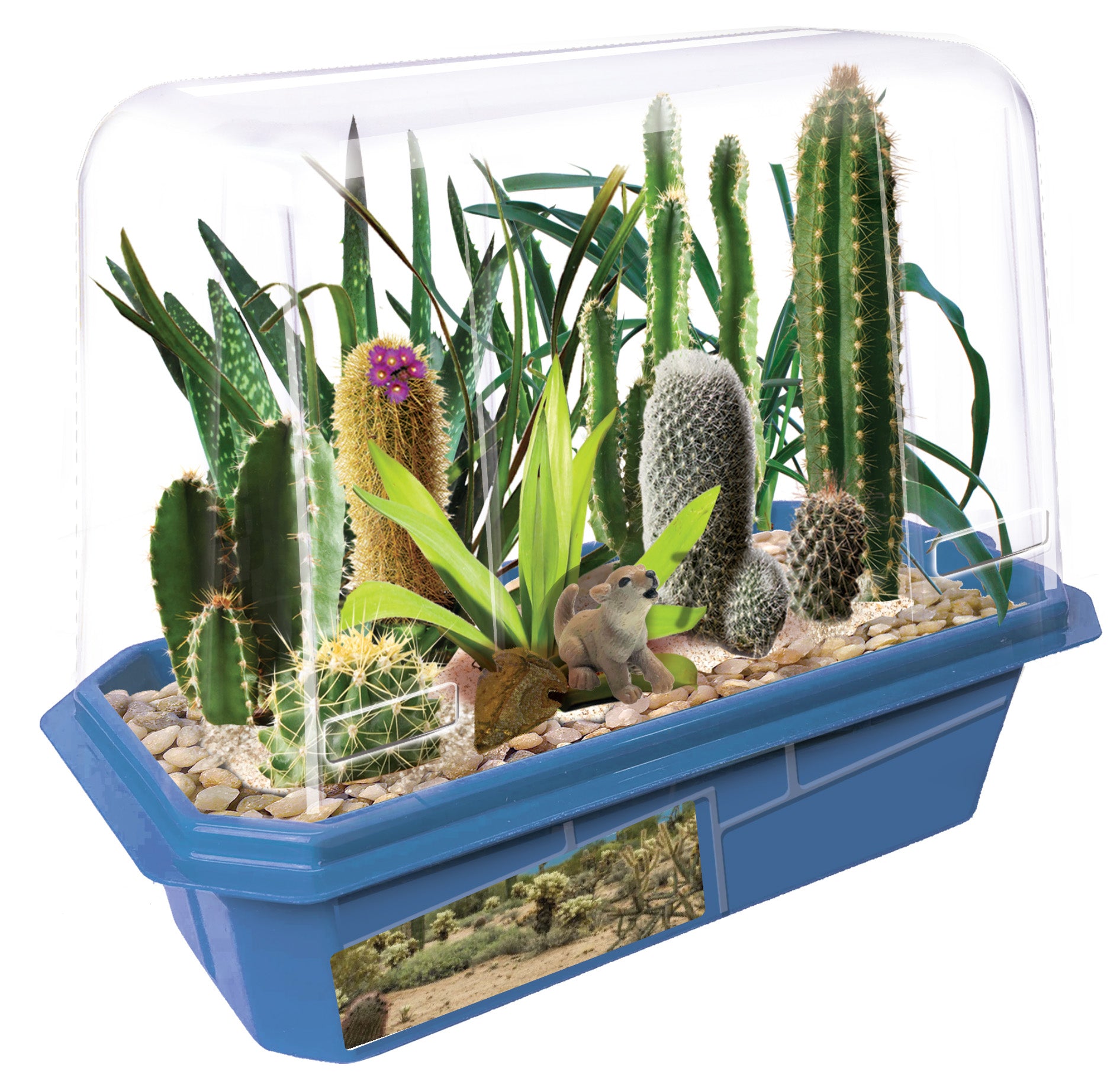 Alternative view of Toys R Us Desert Plant Collection Science Kit ‚Äì Lush Oasis
