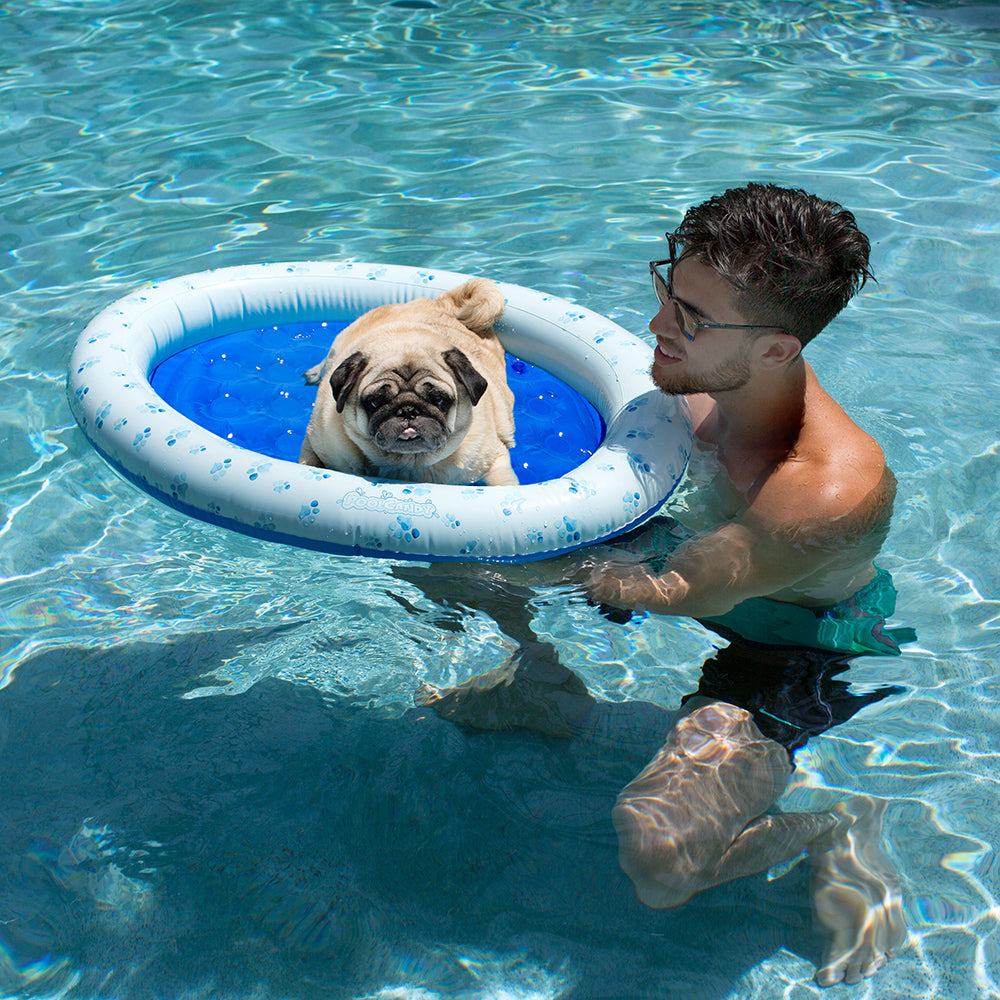 Paws Aboard! Small Dog Inflatable Pool Float - Image 2