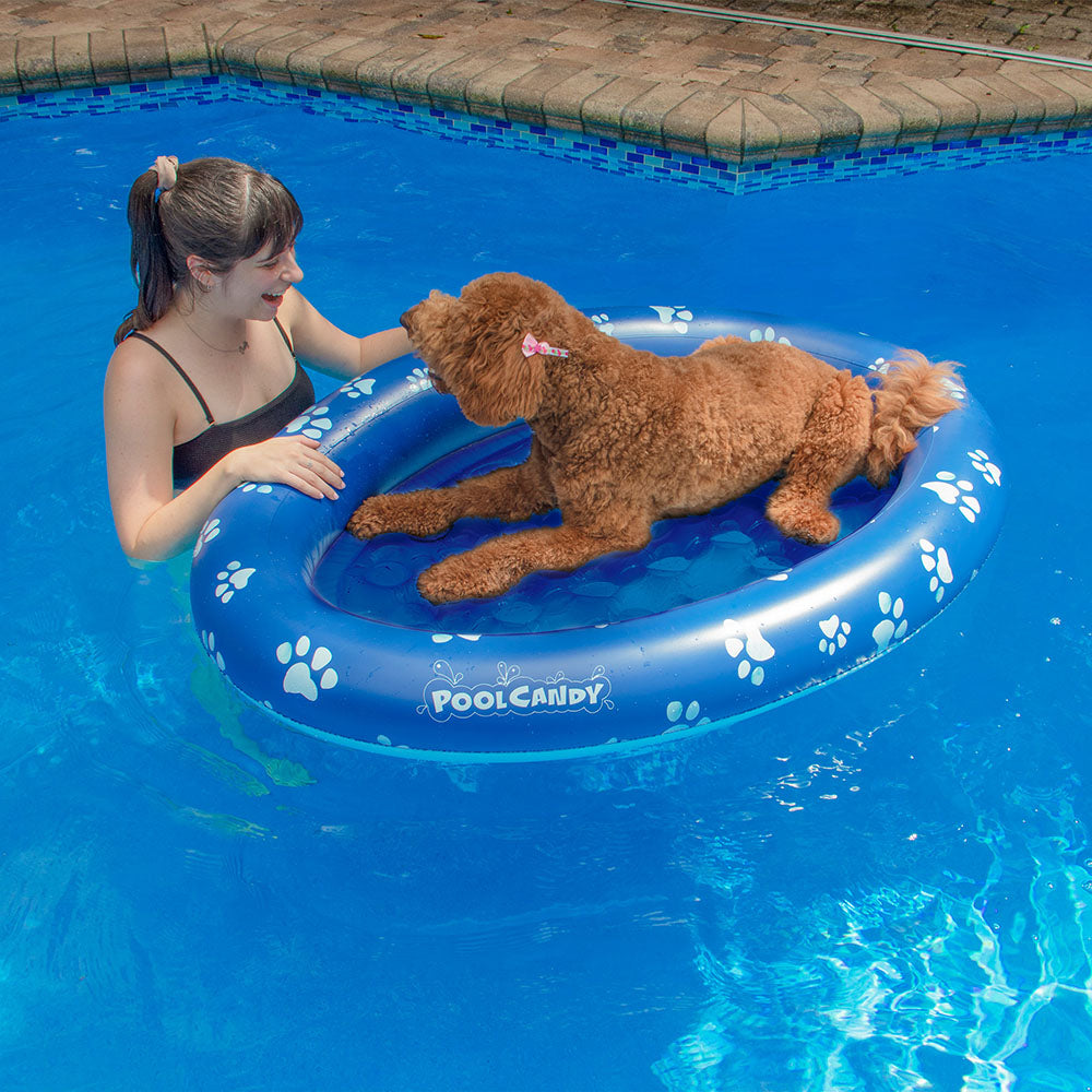 Alternative view of PoolCandy Inflatable Large Dog Pet Float - Durable Canine Pool Lounger