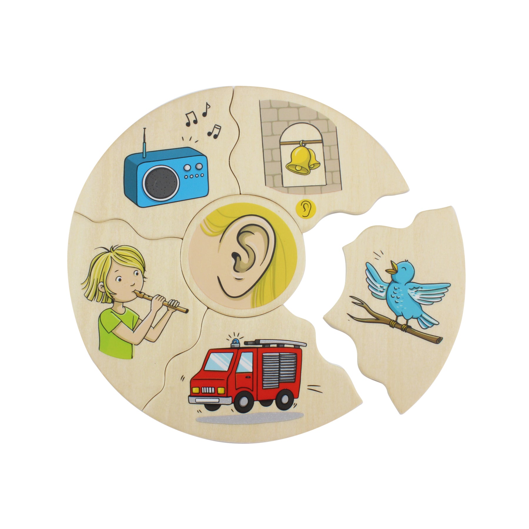 Beleduc Humanico 5 Senses Puzzle - Sensory Exploration Game - Image 4