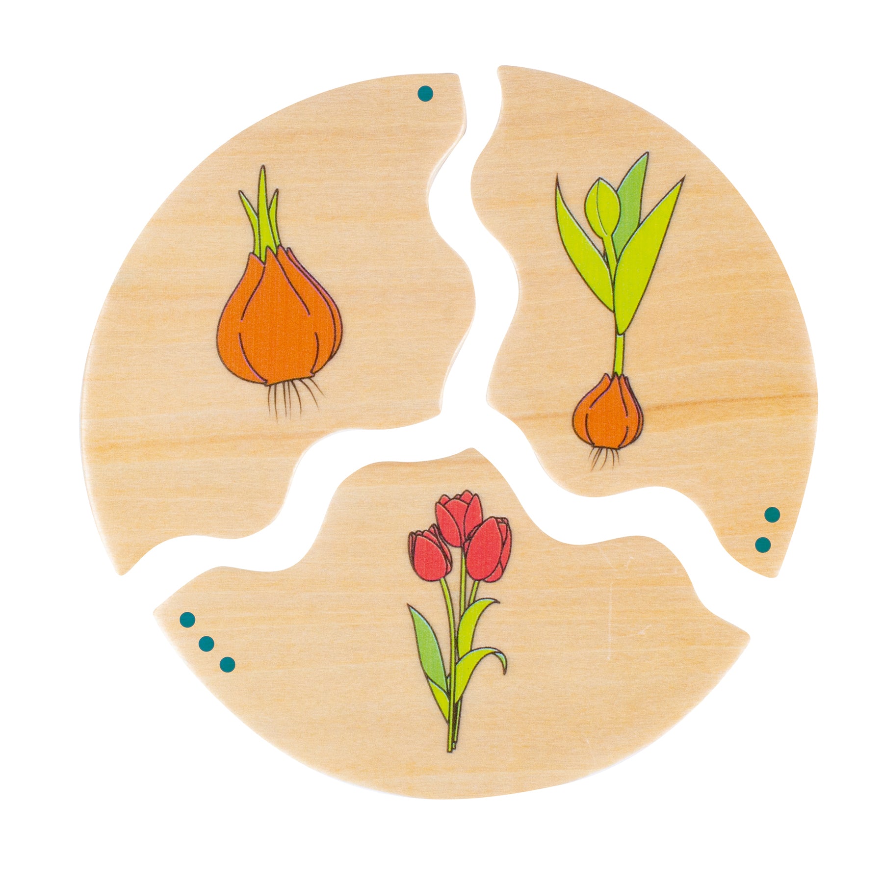 Beleduc Nawito 10-Pack Evolution Wooden Puzzles - 30 pc - Image 3