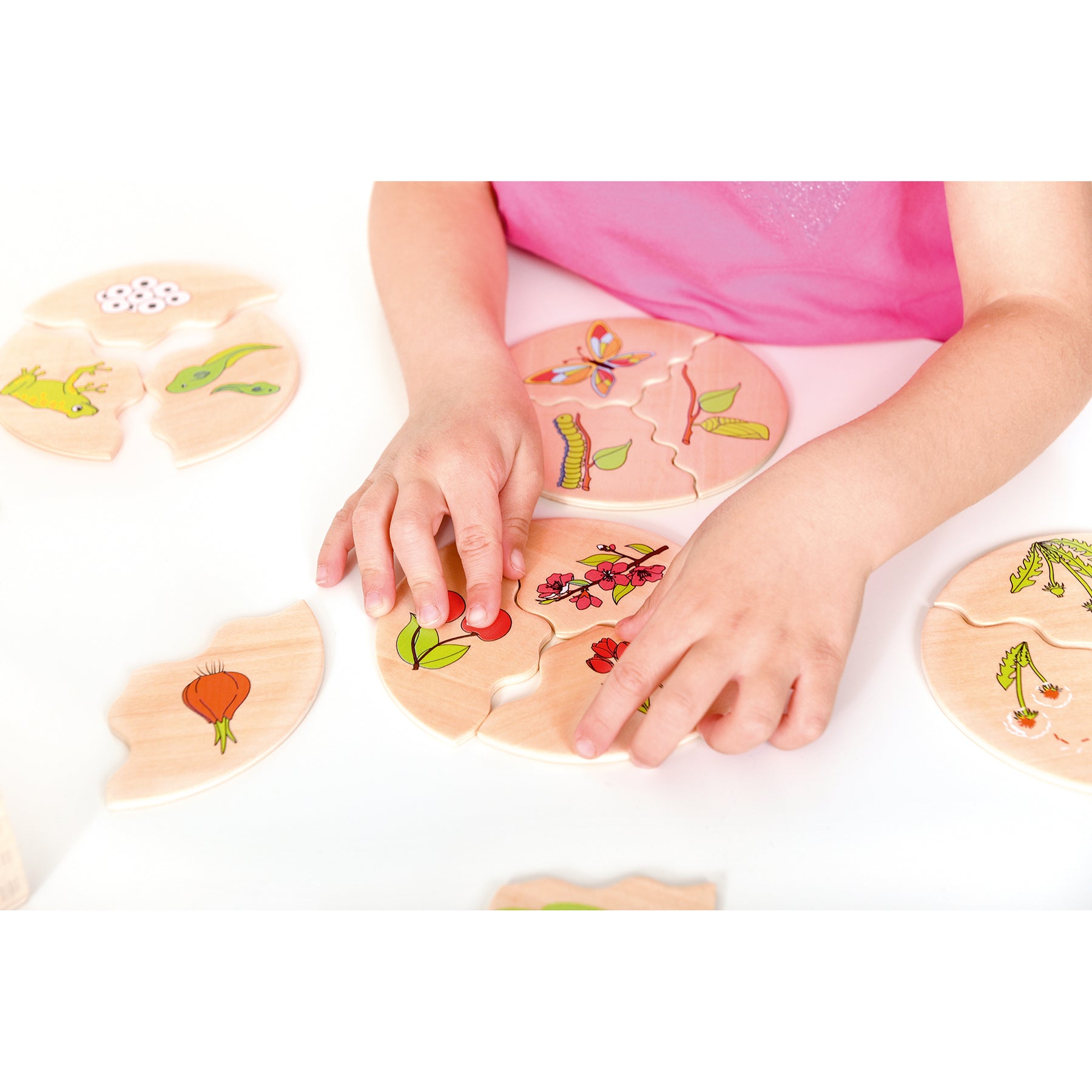 Beleduc Nawito 10-Pack Evolution Wooden Puzzles - 30 pc - Image 7