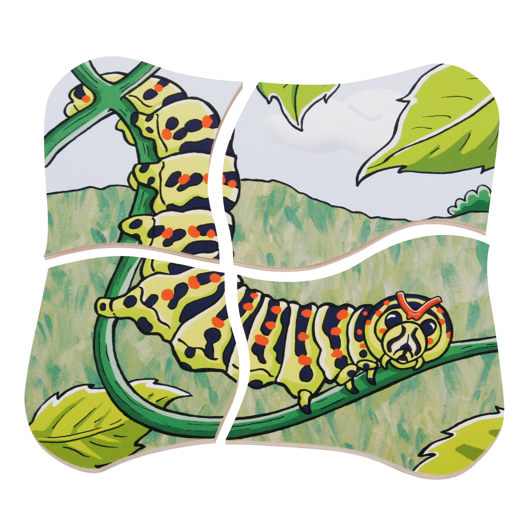Beleduc Layer Puzzle - Transformative Butterfly Lifecycle - Image 4