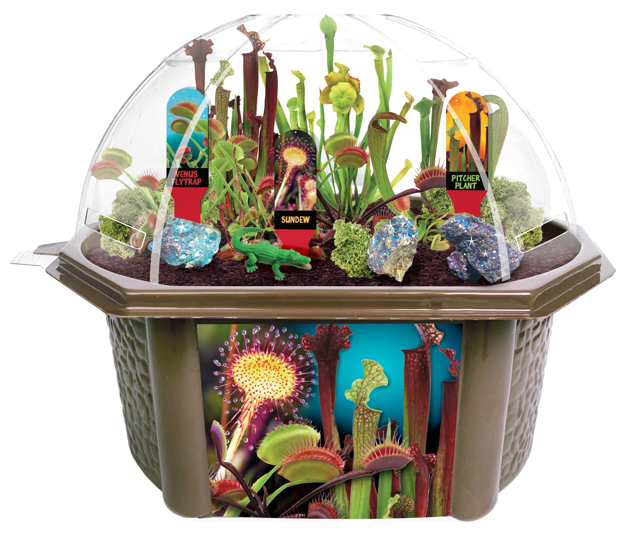 Toys R Us Culinary Herb Collection - Homegrown Flavors Kit