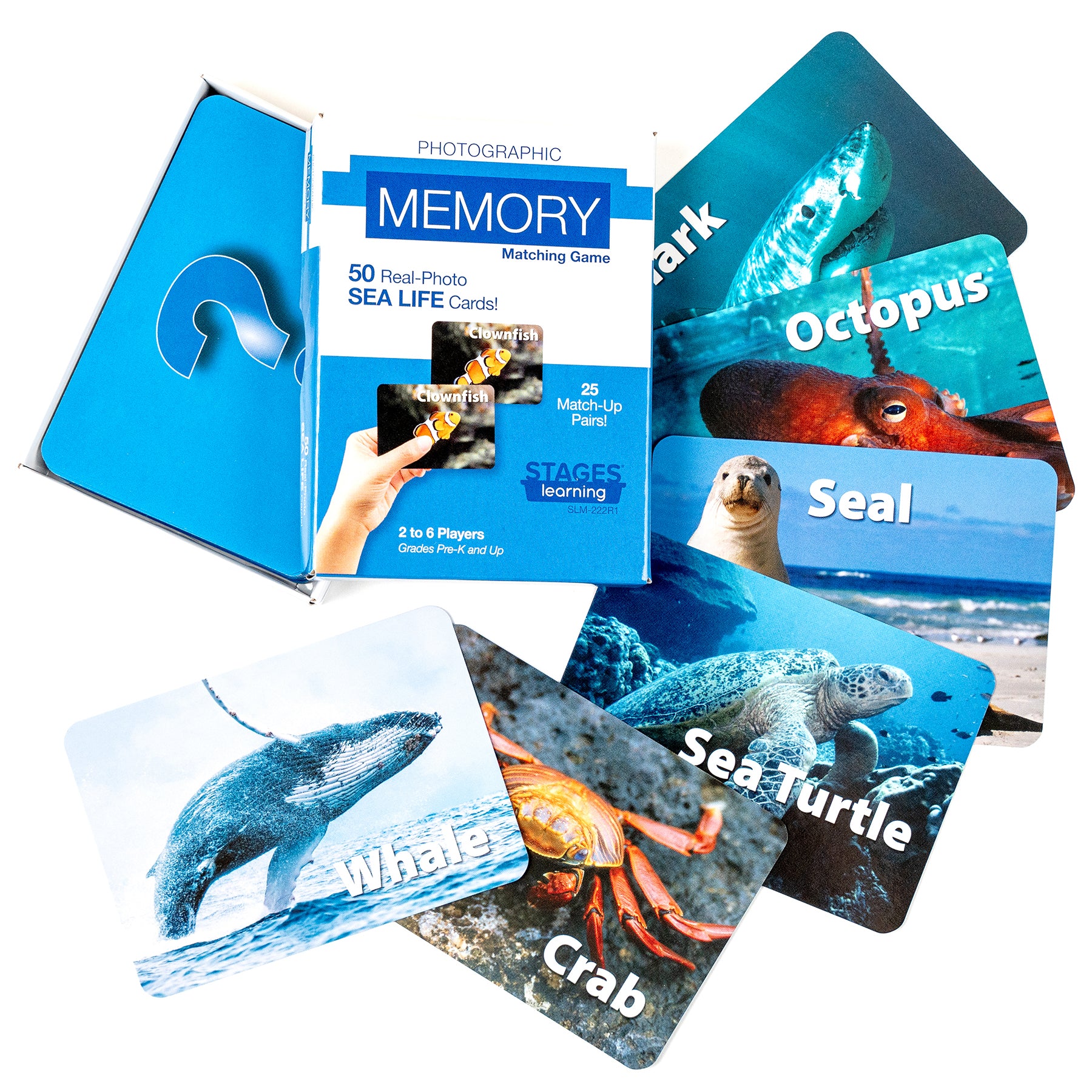 Stages Learning Sea Life Memory Matching Game - Photographic Card Set, Pack of 3 - Image 3
