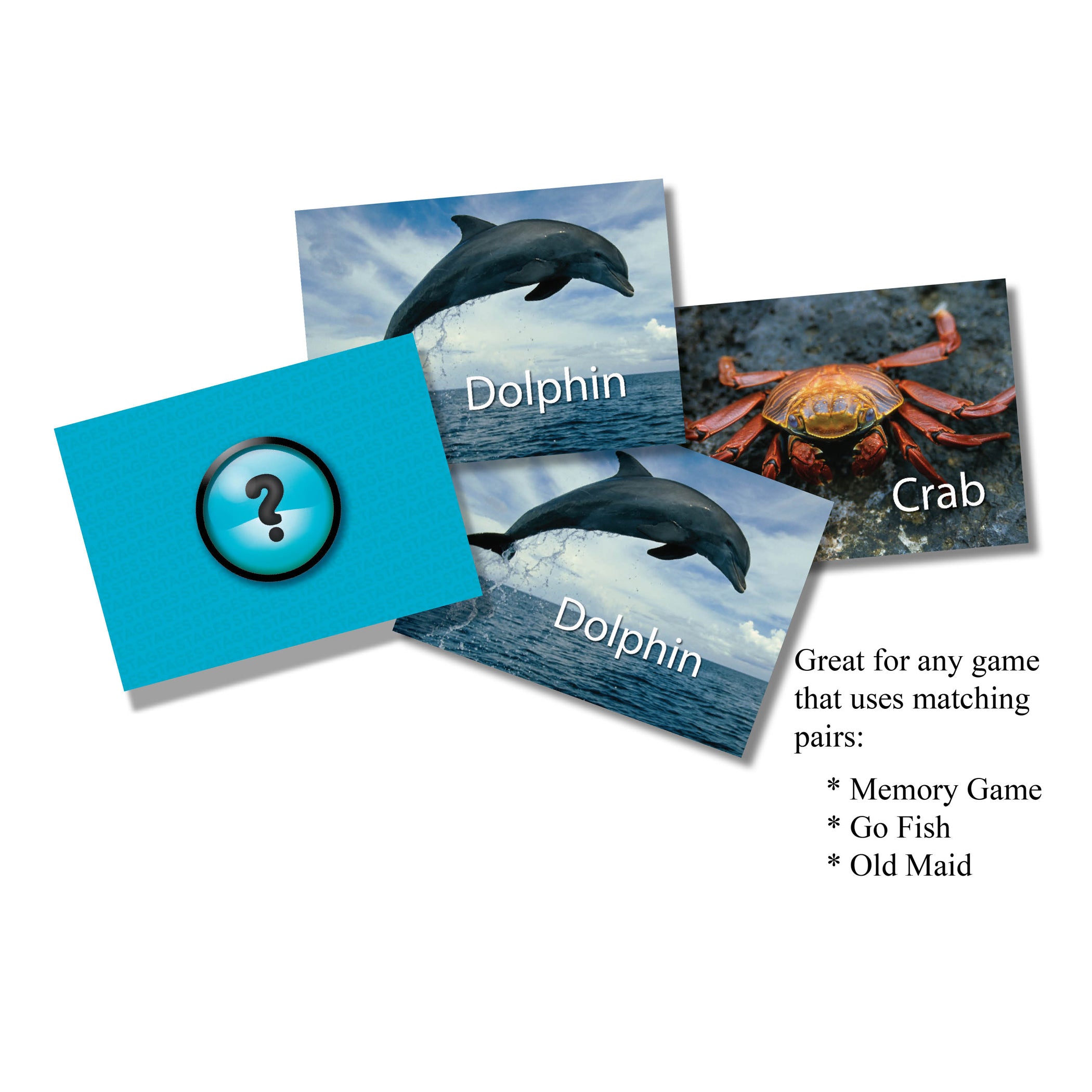 Stages Learning Sea Life Memory Matching Game - Photographic Card Set, Pack of 3 - Image 4