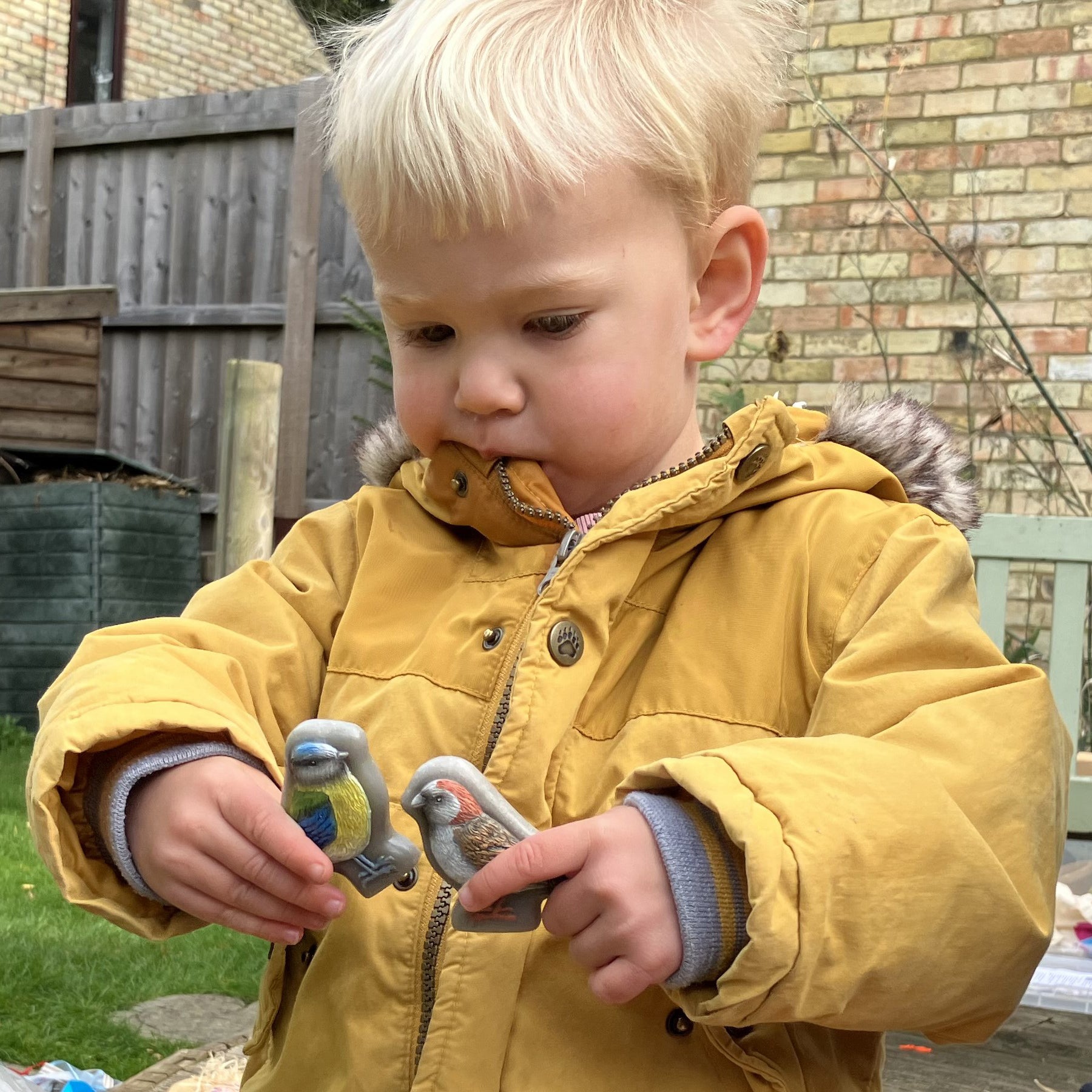 Yellow Door Sensory Play Stone Birds - Interactive Set Of 8 - Image 9