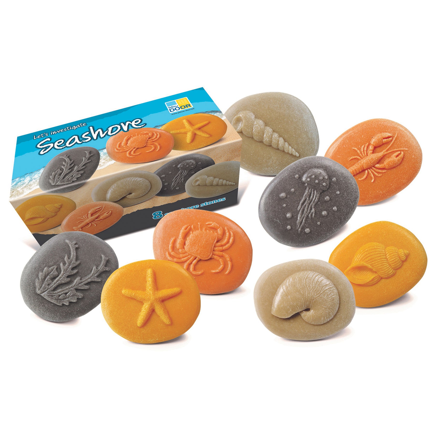 Yellow Door Let's Investigate - Seashore Exploration - Set Of 8 Stone Figures