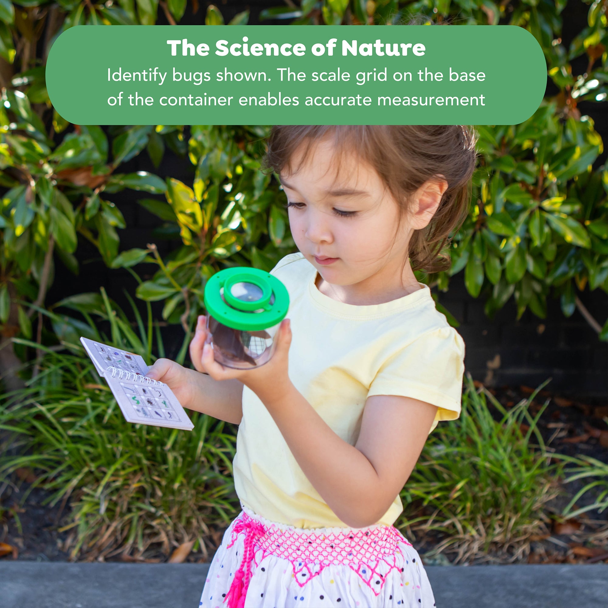 Tiger Tribe Bug Spotter STEM Kit, Insect Collector Box with Magnifying Lid, Ages 4+ - Image 4
