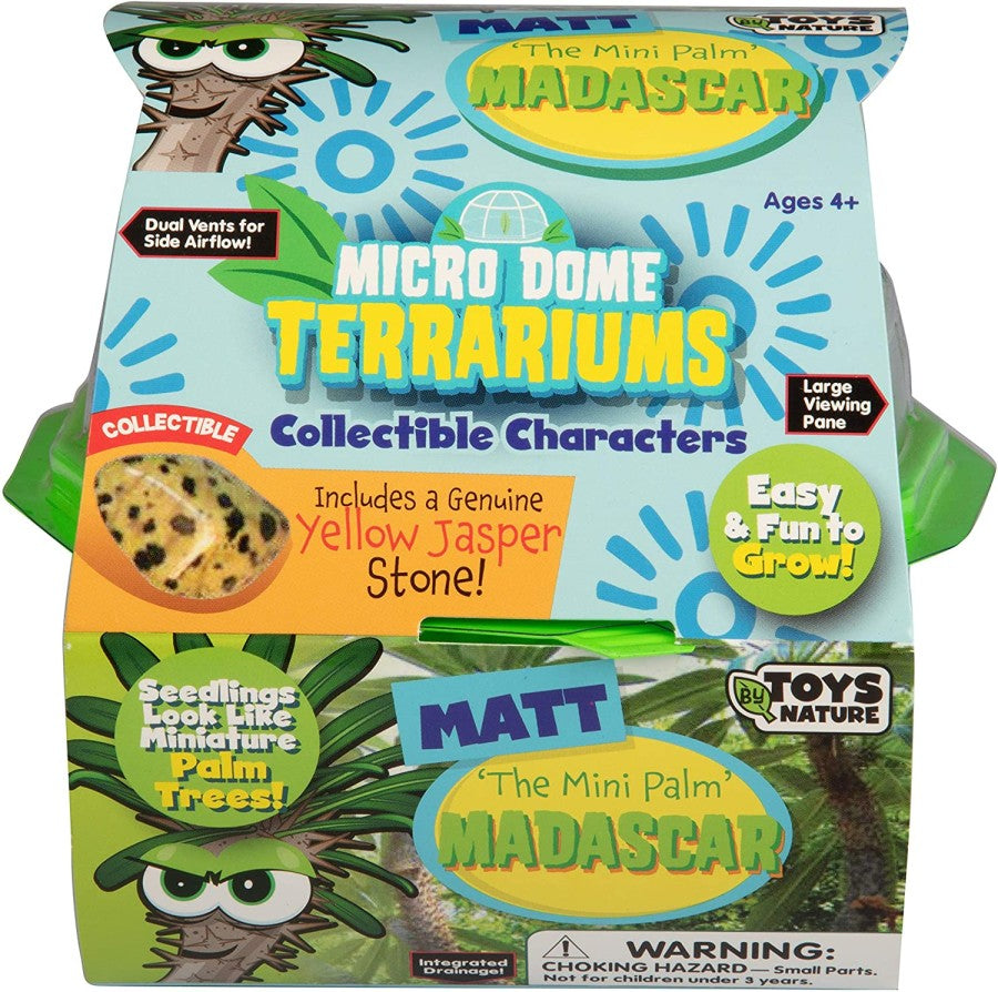 Toys By Nature Matt the Madagascar Mini Palm Terrarium Kit