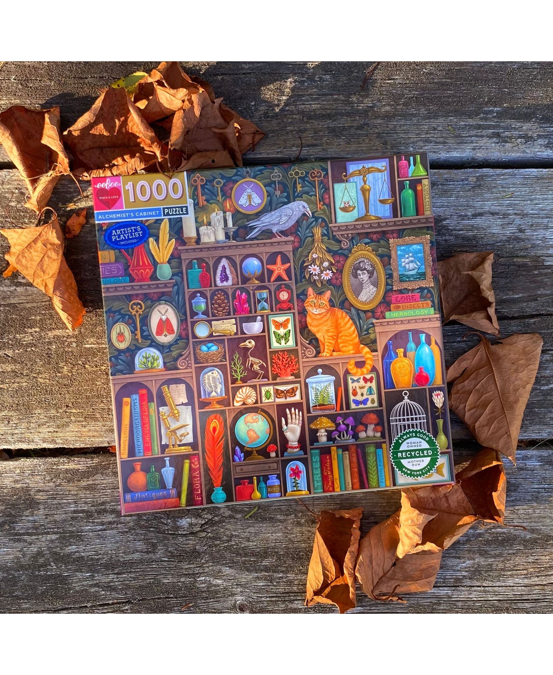 eeBoo Piece and Love Alchemist Cabinet Academia-Inspired Puzzle - 1000 pc - Image 5
