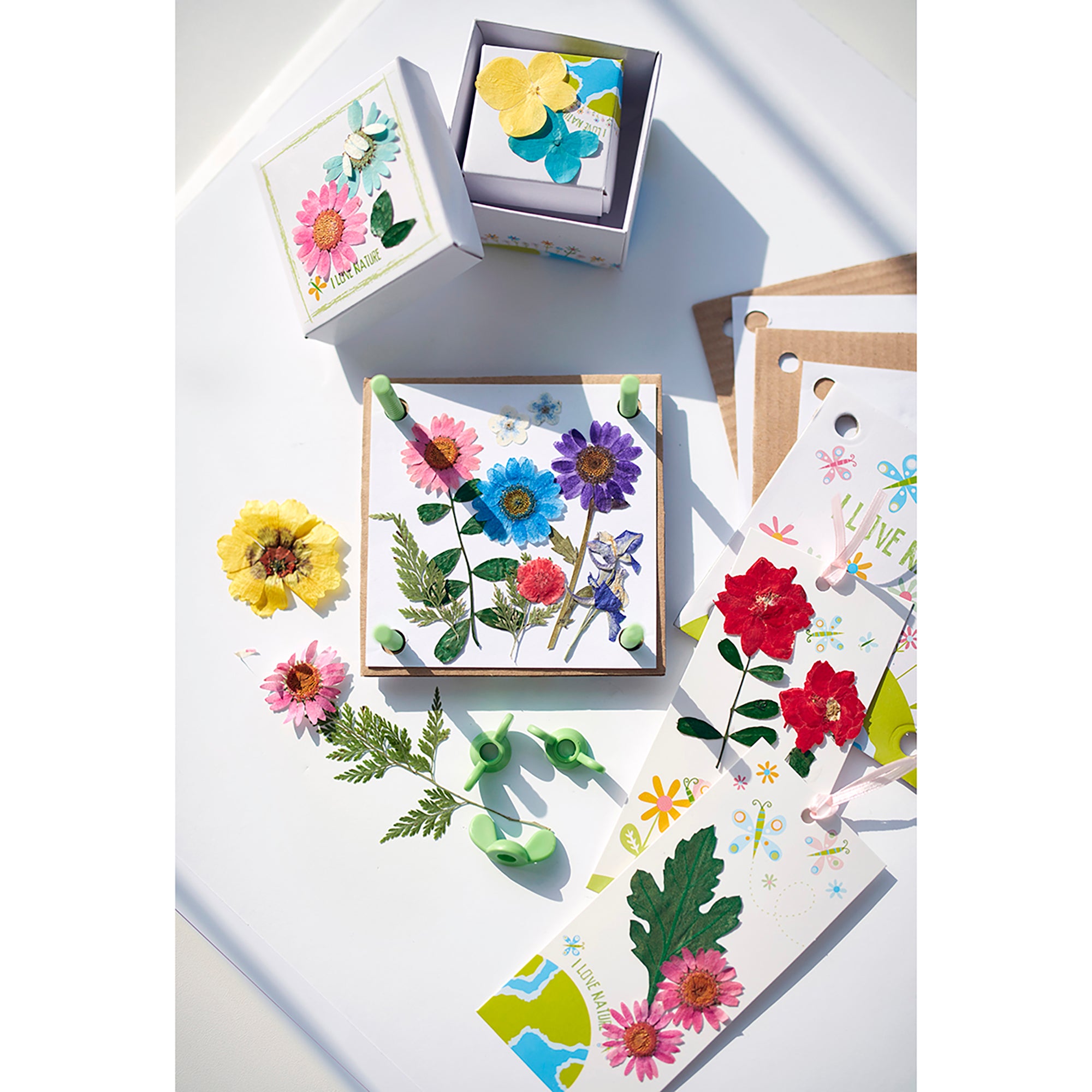 Green Creativity: Pressed Flower Art - Image 4