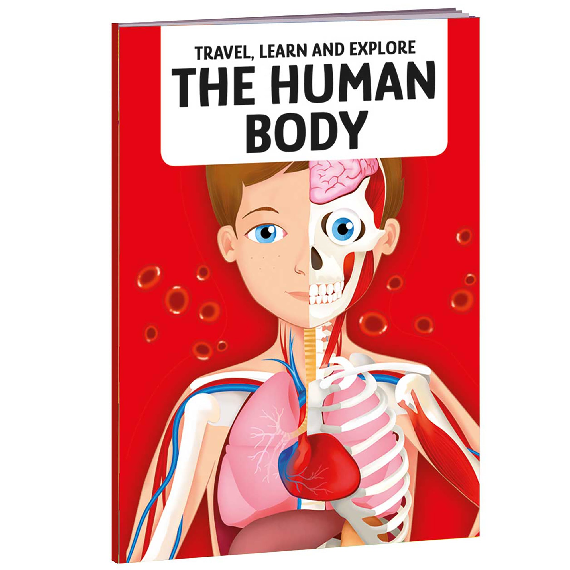 TLE: The Human Body - Image 2