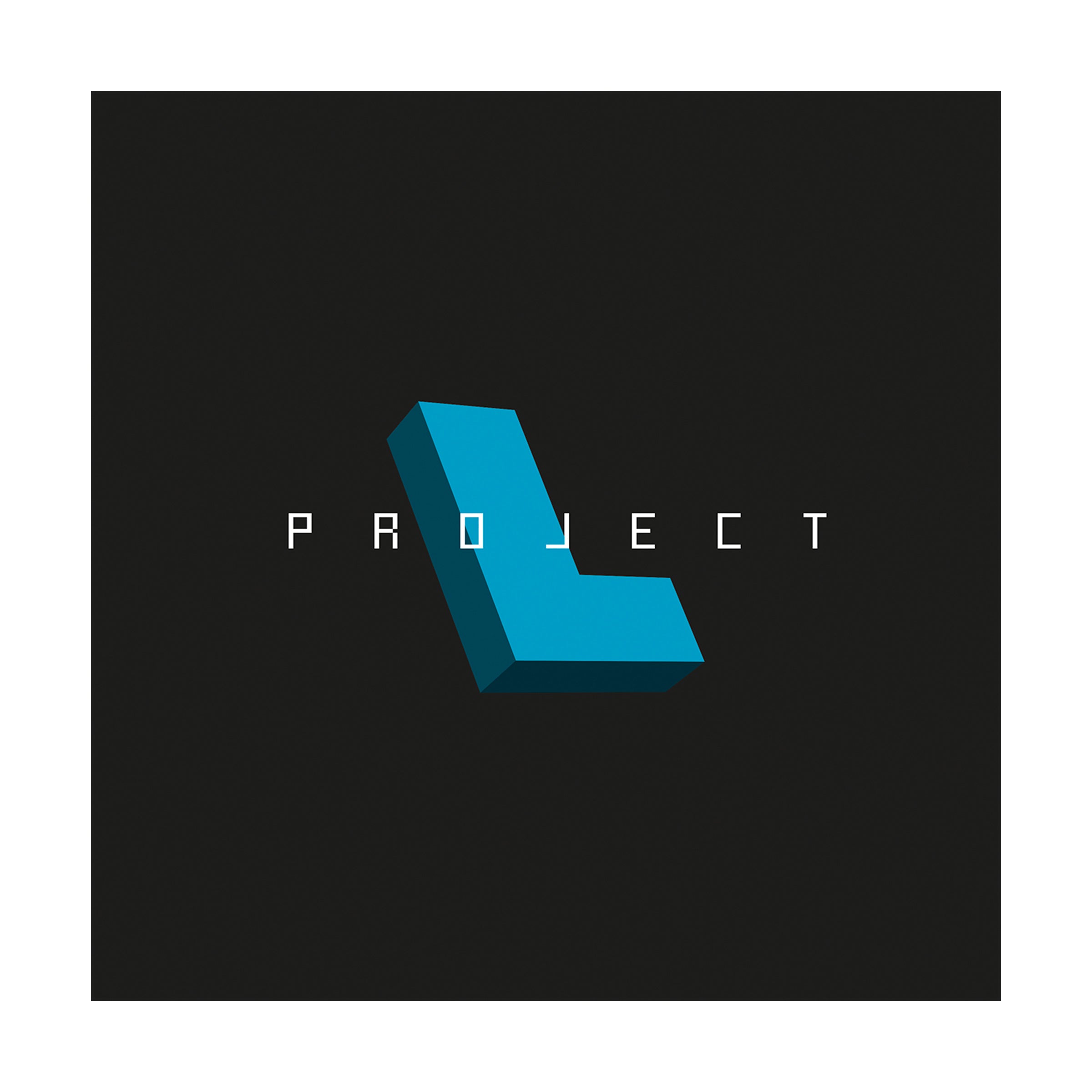 Project L: Ultimate Brain-Burning 3D Puzzle Board Game - Image 3