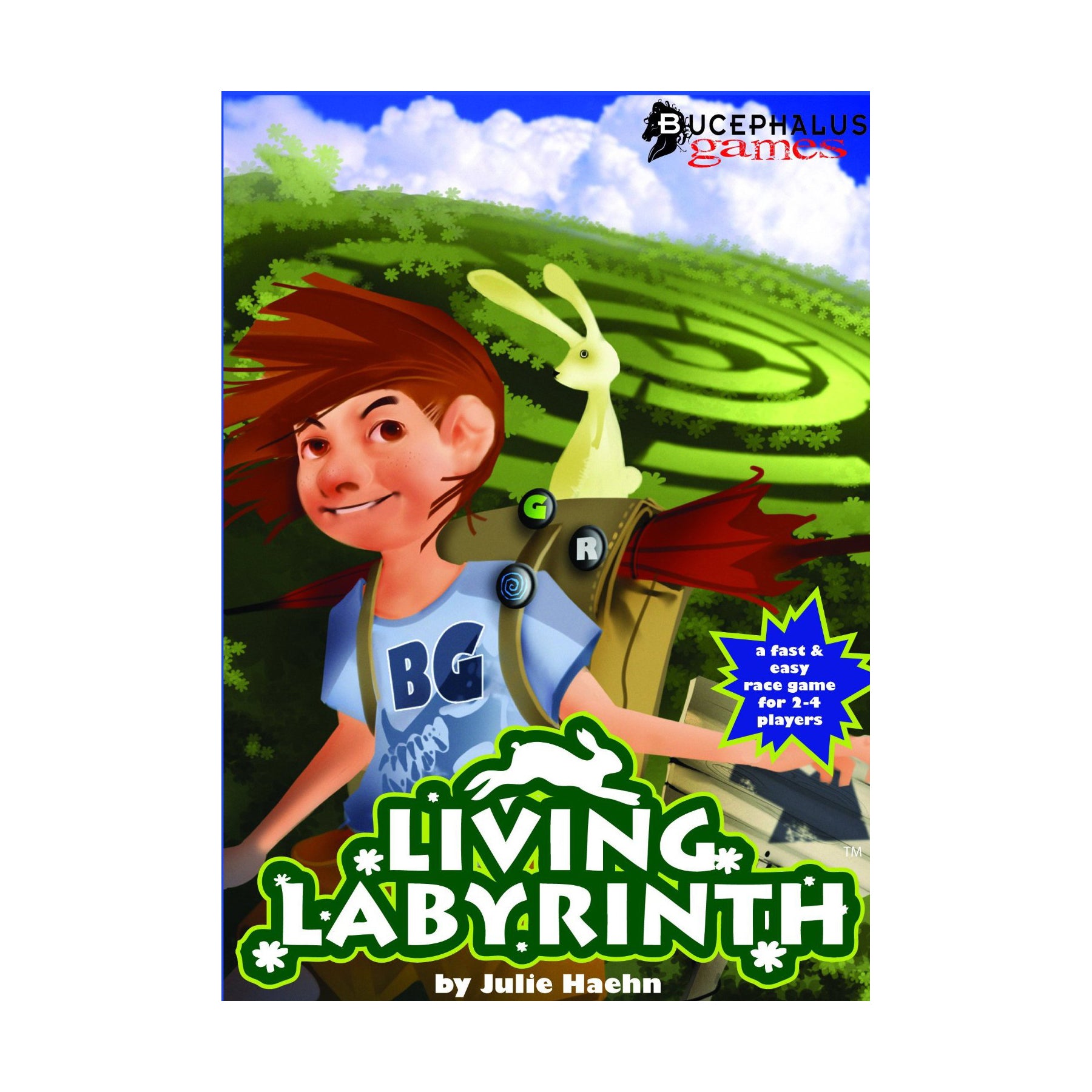 Living Labyrinth Garden Maze Race Game - Image 2
