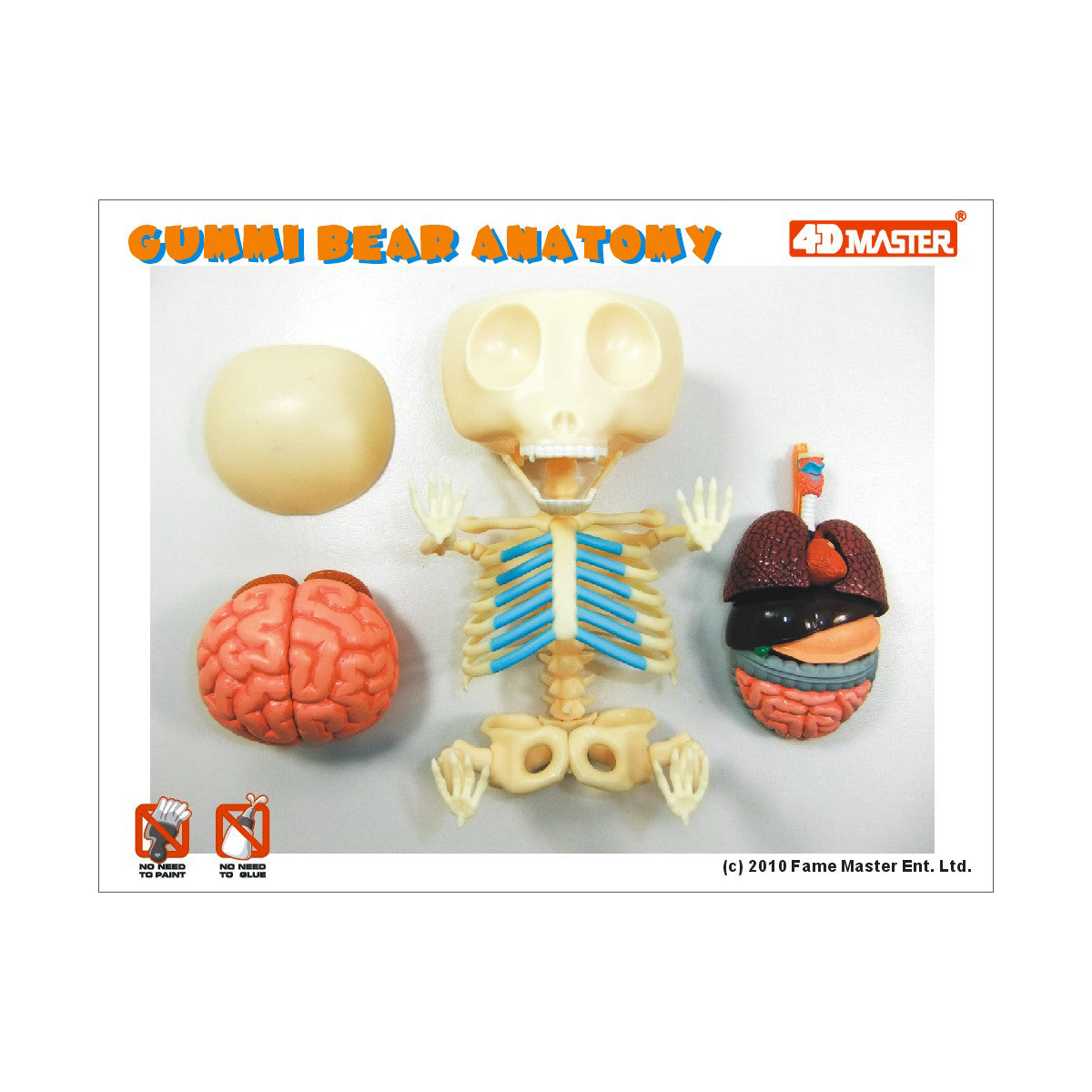 Alternative view of Jason Freeny Funny Anatomy Gummi Bear Model - Transparent Educational Toy