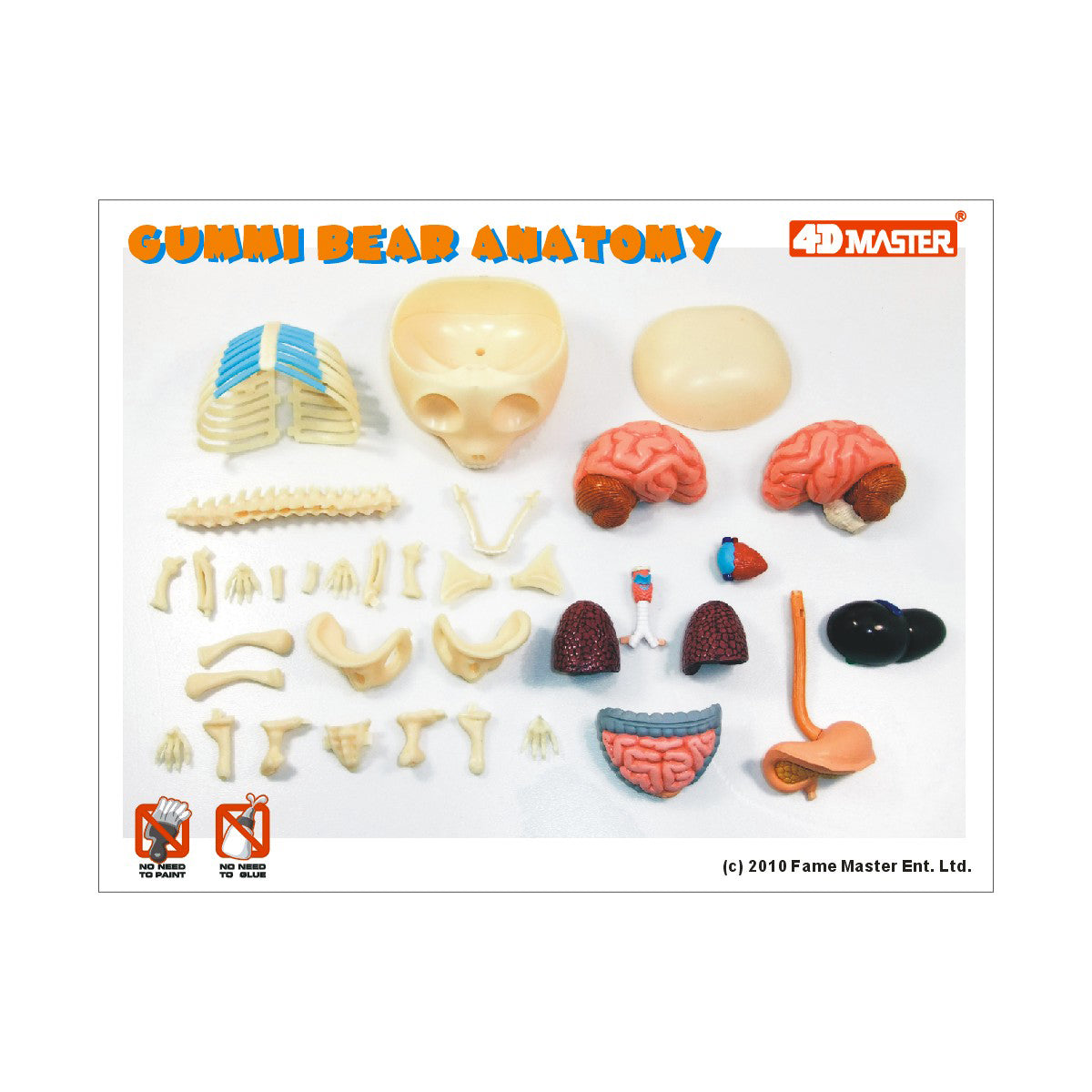 Jason Freeny Funny Anatomy Gummi Bear Model - Transparent Educational Toy - Image 3