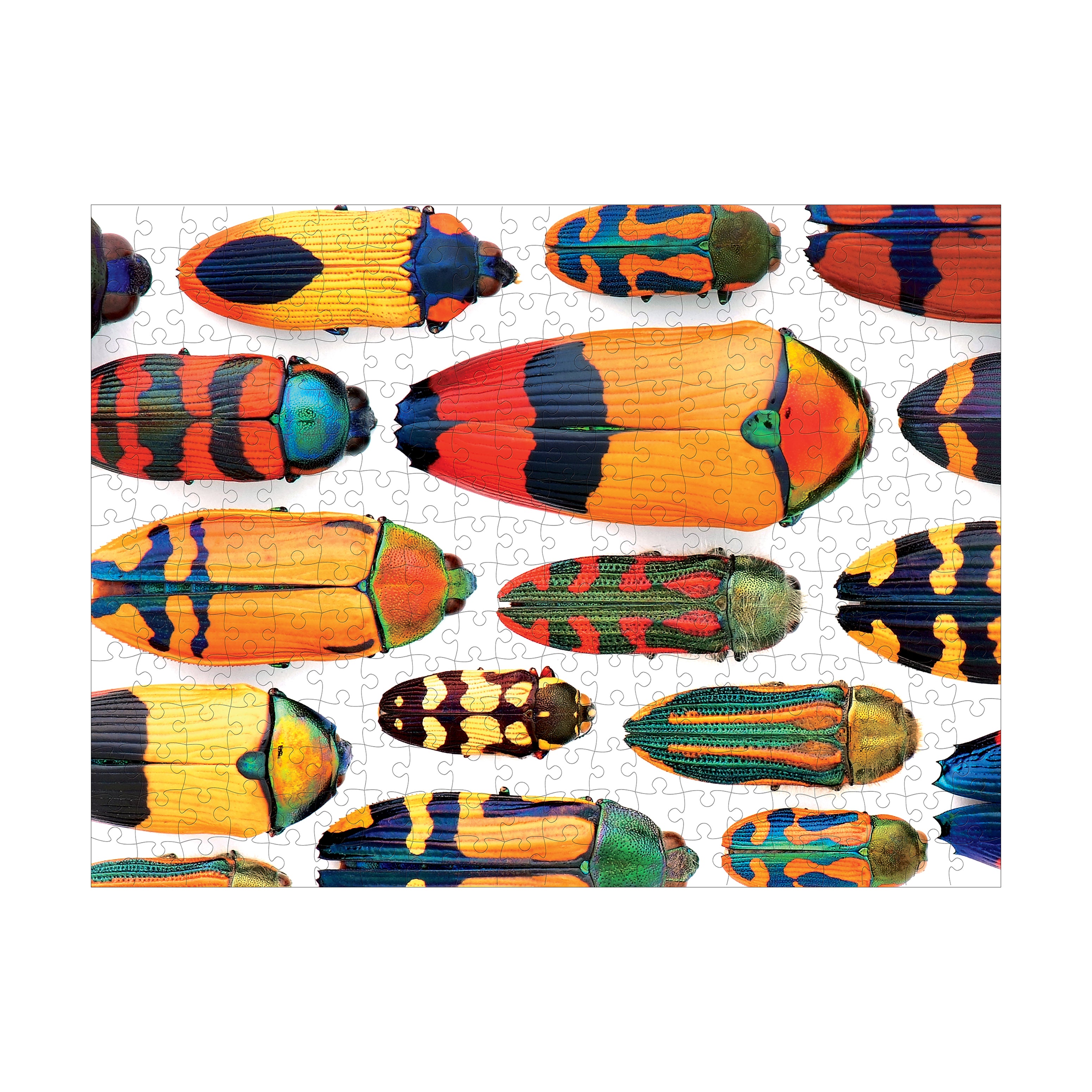 PomegranateKids Christopher Marley's Beautiful Beetles Puzzle - 300 pcs - Image 3